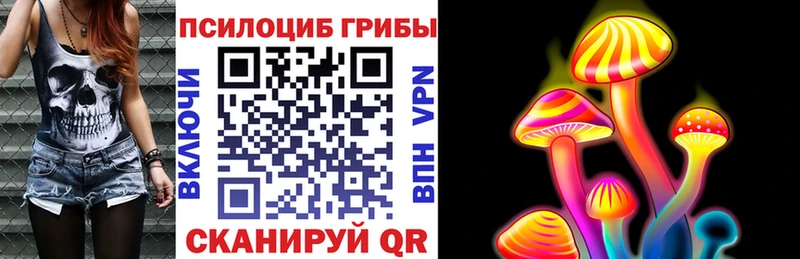 Галлюциногенные грибы Magic Shrooms  закладка  Красный Холм 